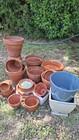 Photo of free Terracotta garden pots. Garran #1