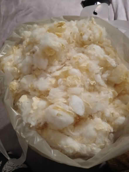 Photo of free Teddy stuffing (Havant PO9) #1