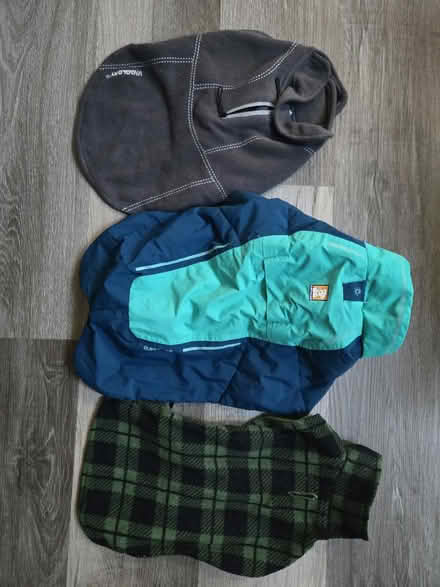 Photo of free Small dog coats (Burtonsville) #1