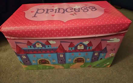 Photo of free Princess storage box (Ulverley Green B92) #1