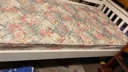 Photo of free Single bed and mattress (Underdale SY2) #3