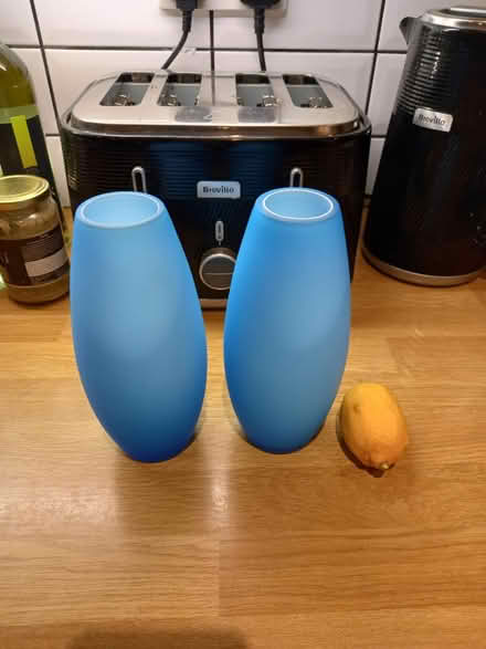 Photo of free A pair of Vases (Roundhill area brighton) #1