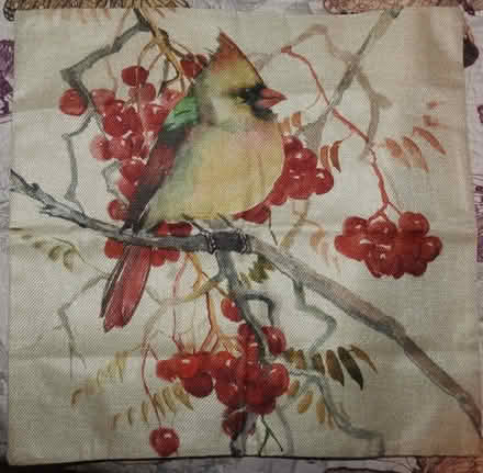 Photo of free Cardinal Pillow Case (Mavis and Rathburn) #1