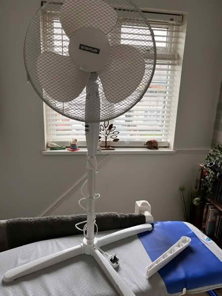 Photo of free Floor fan (Allenton Derby DE24) #1