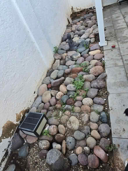 Photo of free Large River Rock ((McClintock/Baseline)) #1