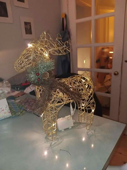 Photo of free Led sparkly flashing reindeer (Bruntsfield EH10) #1