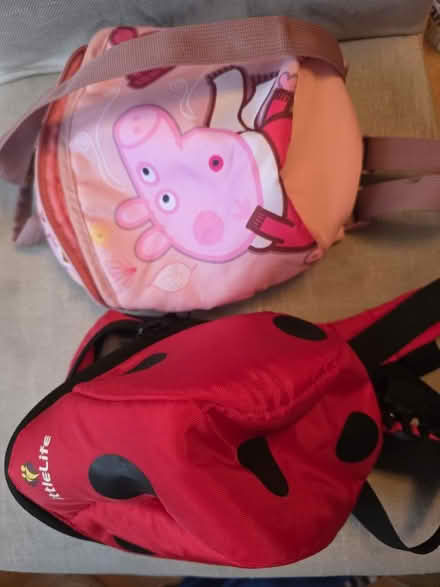 Photo of free Toddler backpack reins (Garston WD25) #3