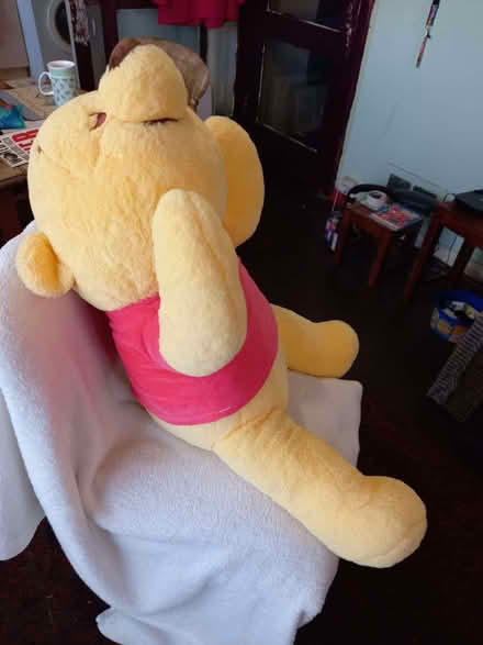 Photo of free large yellow teddy (Southwick BN42) #1