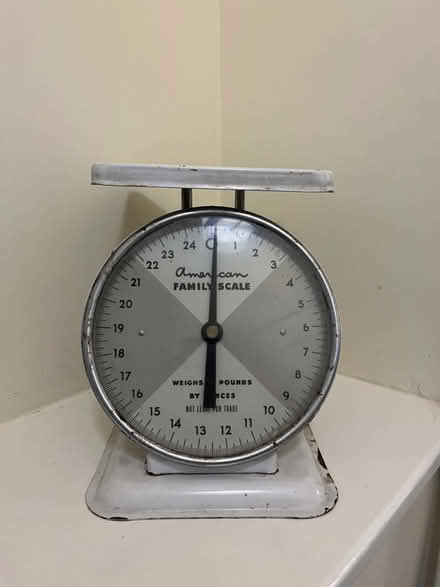Photo of free Utility scale (Berkeley, near Claremont Hotel) #1