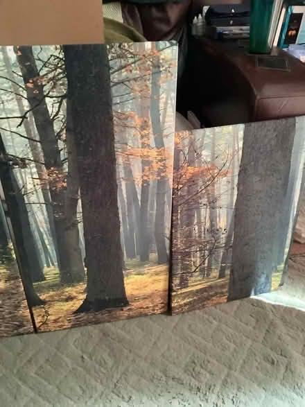Photo of free 5 Piece Canvas Print (Cottingham HU16) #4
