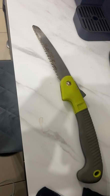 Photo of free Small tree saw (CH62) #1