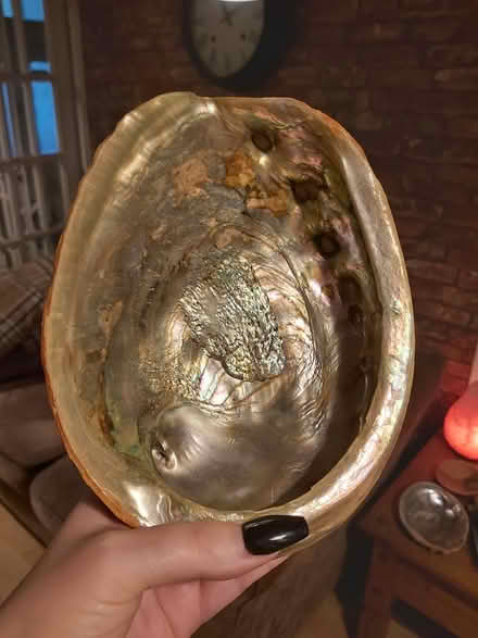 Photo of free Large abalone shell/bowl (Aberdeen, AB16) #1