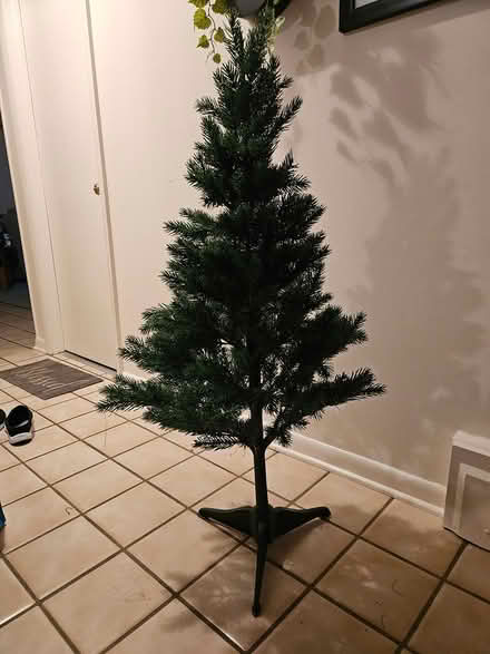 Photo of free Small christmas tree (Mount Prospect) #1