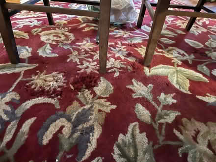 Photo of free 🆓 8x10 wool rug (Roxborough Phila 19128) #2