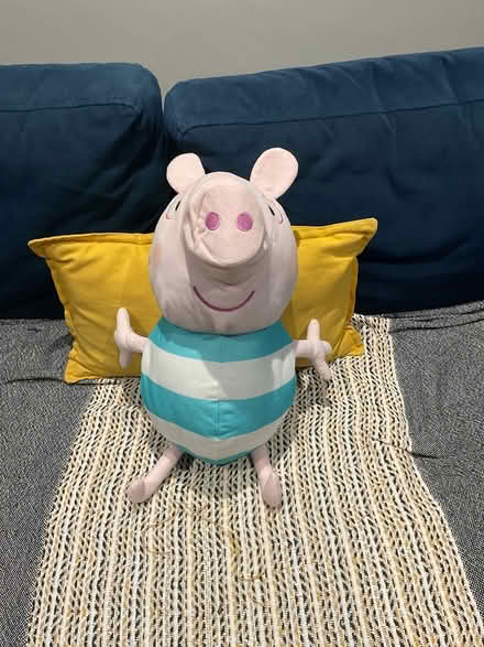 Photo of free George pig (Redbourn, AL3) #1