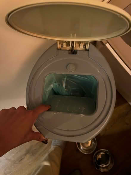 Photo of free Cat Litter Box, Bin and Bowls (Plumstead) #4