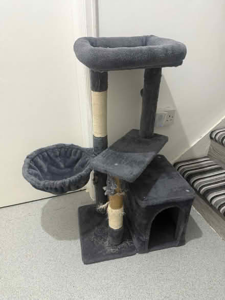 Photo of free Cat tree (SW18) #1