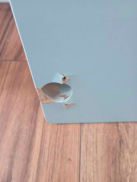 Photo of free Wardrobe doors ONLY for IKEA Stuva (Raheny, Dublin 5) #4