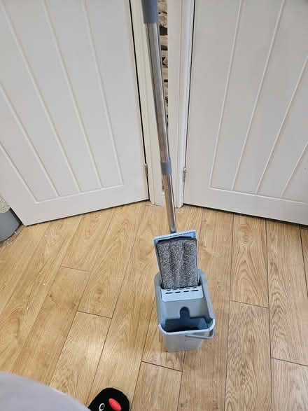 Photo of free Mop (Shiregreen S5 0AN) #2