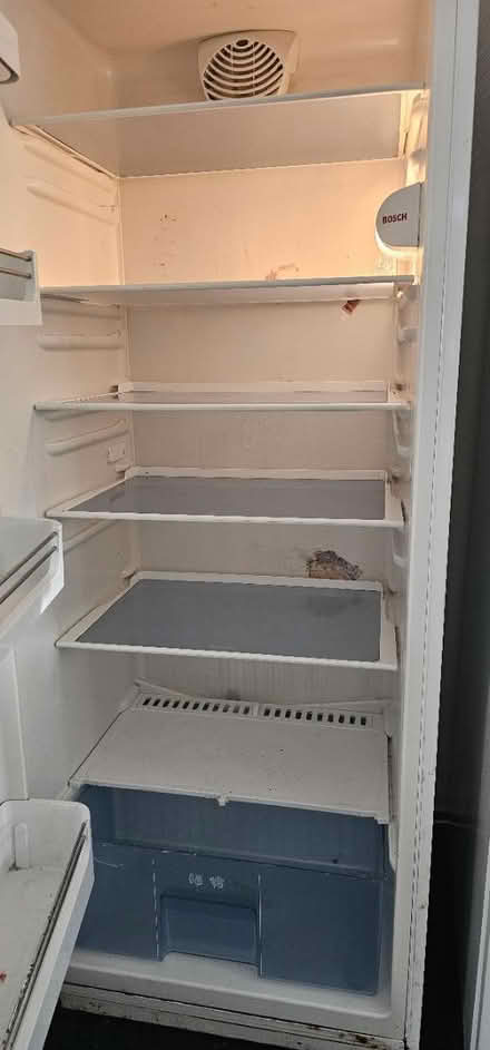 Photo of free Bosch tall fridge working LUTON (Luton LU2) #3