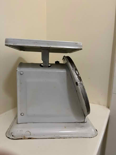 Photo of free Utility scale (Berkeley, near Claremont Hotel) #3