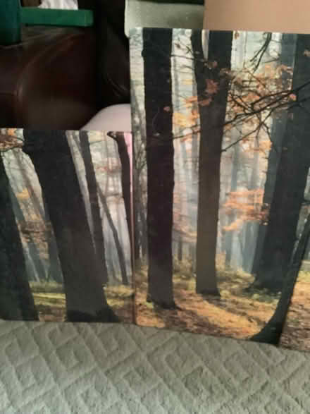 Photo of free 5 Piece Canvas Print (Cottingham HU16) #3