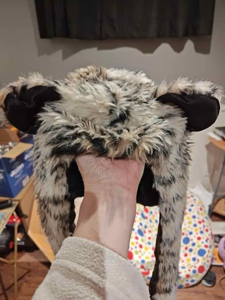 Photo of free Cute Hat Combo (Kitchener (Lancaster/Union)) #1