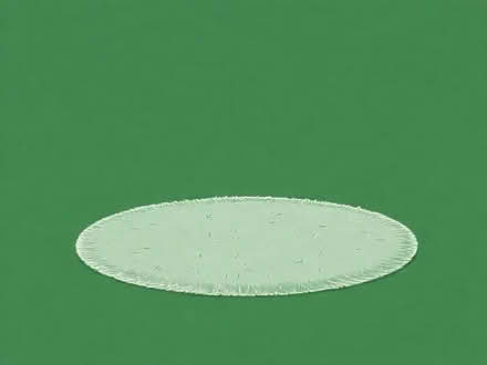 Photo of free Light grey carpet (Costessey NR8) #1