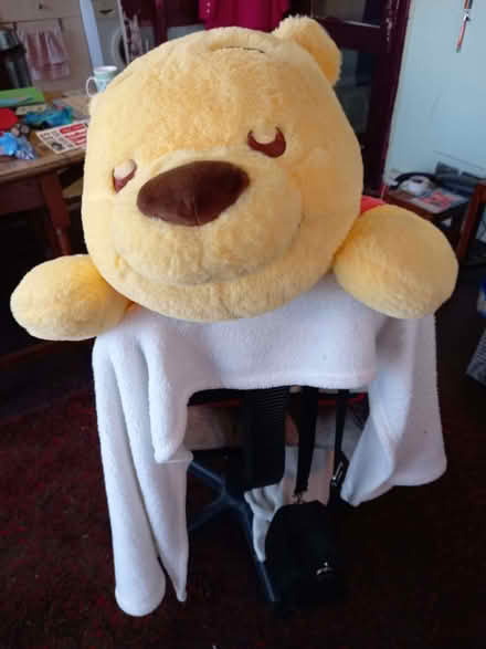 Photo of free large yellow teddy (Southwick BN42) #2