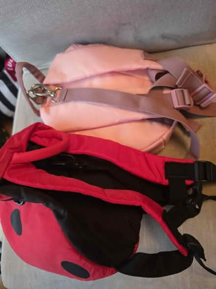 Photo of free Toddler backpack reins (Garston WD25) #2