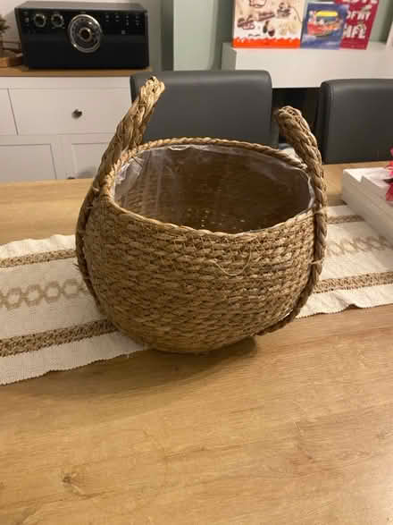 Photo of free plant basket (CH62) #1