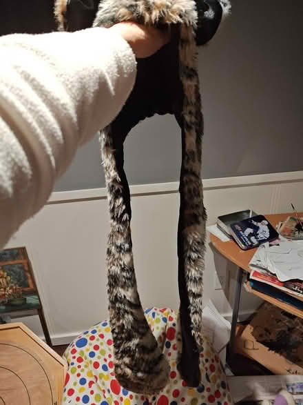 Photo of free Cute Hat Combo (Kitchener (Lancaster/Union)) #2