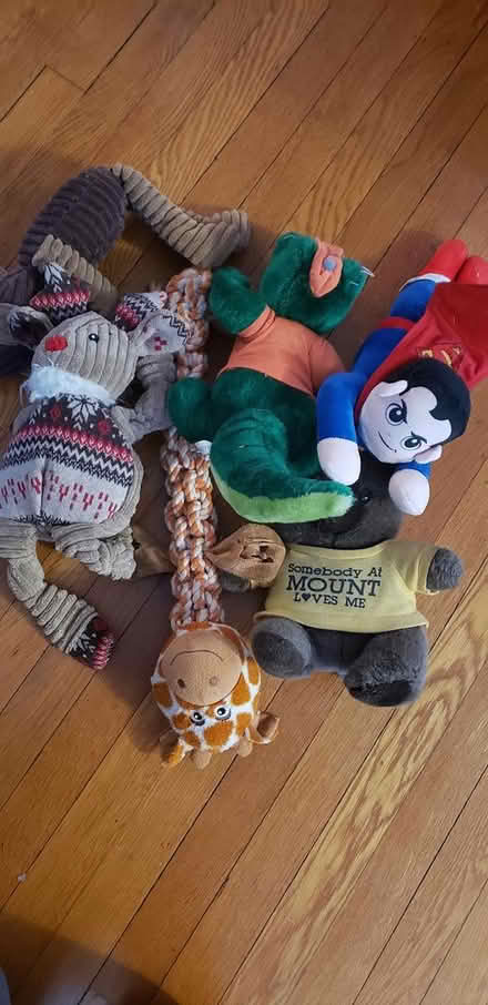 Photo of free Large dog toys (NE Yonkers) #1