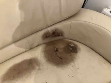 Photo of free Sofa that needs reupholstering (Borehamwood) #2