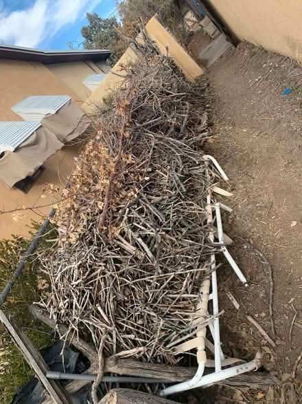 Photo of free Firewood kindling (San Mateo and mountain) #1