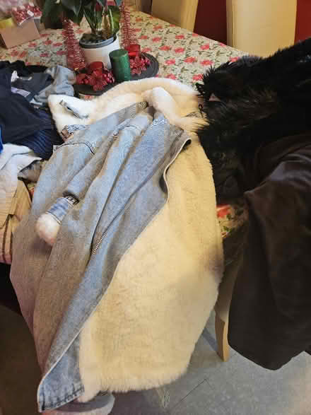 Photo of free 4 ladies coats all size 16 (Hackenthorpe S12) #2
