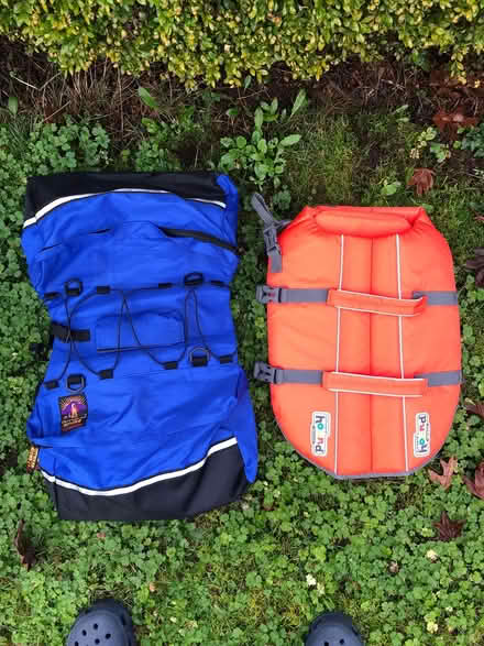 Photo of free Dog Backpack & Dog Flotation Vest (Aurora (N Seattle/ Shoreline)) #1