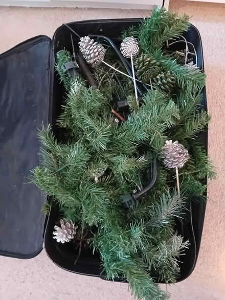 Photo of free Christmas Tree 1.7m high dismounted (Bristol BS7) #2