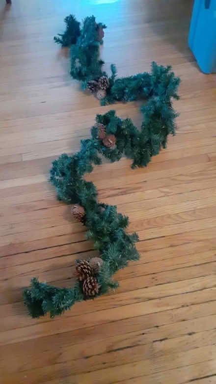 Photo of free Festive greenery (Southdown and Truscott) #1