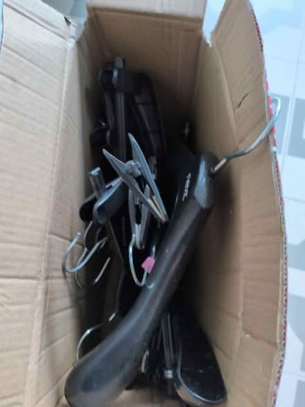 Photo of free Plastic hangers (Honor oak) #1