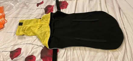 Photo of free Yellow, fleecy dog coat (Shephall SG2) #3