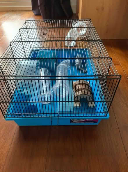 Photo of free Large hamster cage (Calne SN11) #1