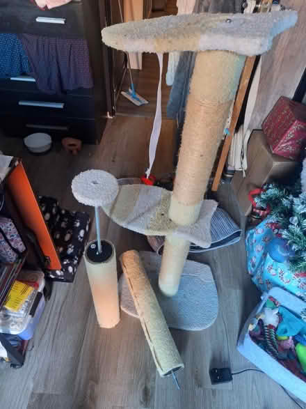 Photo of free Cat tree (PE7 8fn) #1