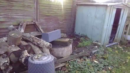 Photo of free logs and kindling (castle donington DE74) #1