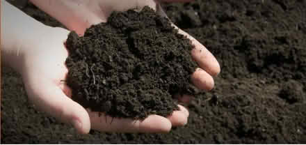 Photo of Top Soil & Mulch (Notting Hill W11) #1