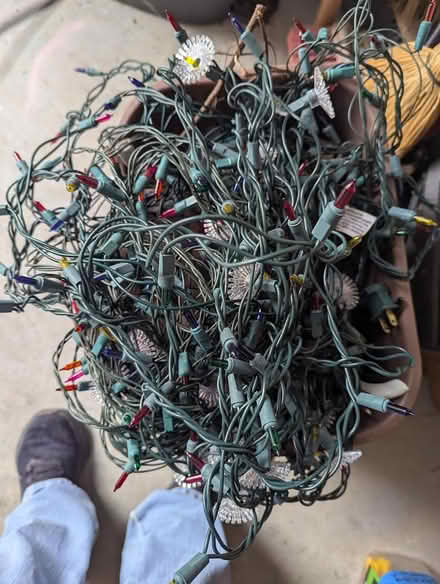 Photo of free Christmas lights (West side off Bodega) #1