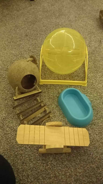 Photo of free Hamster things (Bempton YO15) #1