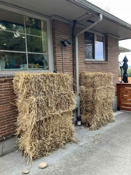 Photo of free Hay Bales (for manger/compost/pets) (Magnolia) #2