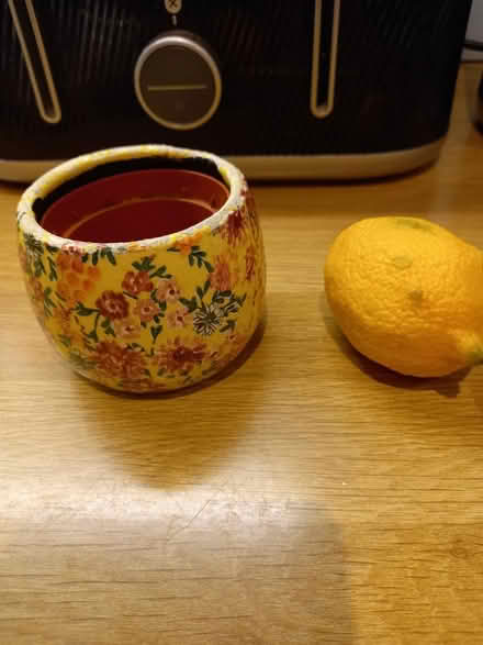 Photo of free Plant pot (Roundhill area brighton) #1