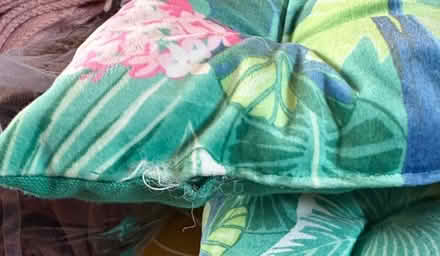 Photo of free Seat Cushions/Wooden Bricks/Festive Glasses (Bearley CV37) #3